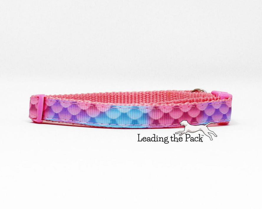 Blue-pink scales 10mm collars and leads