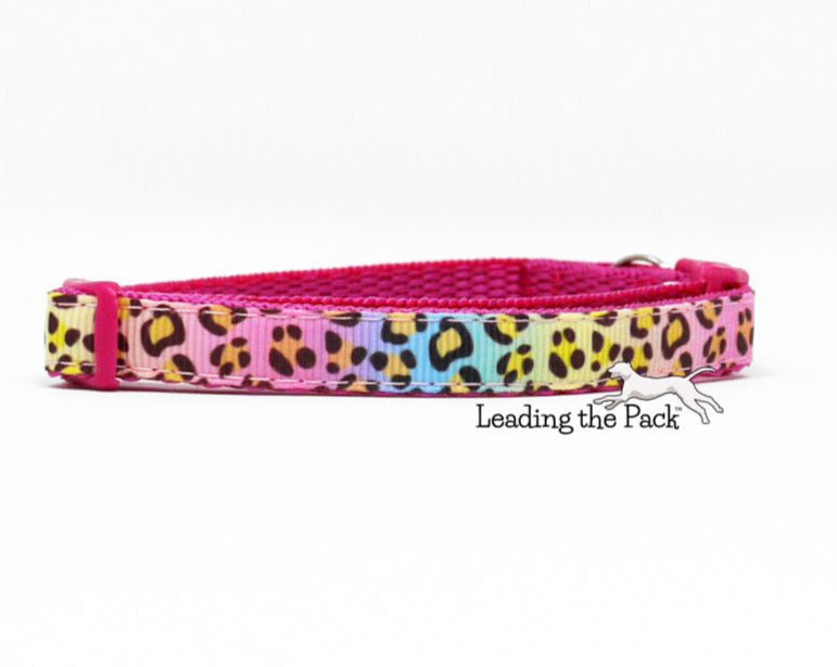 Rainbow leopard 10mm collars and leads