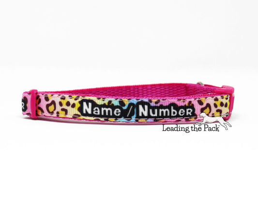 Personalised contact rainbow leopard 10mm collars and leads