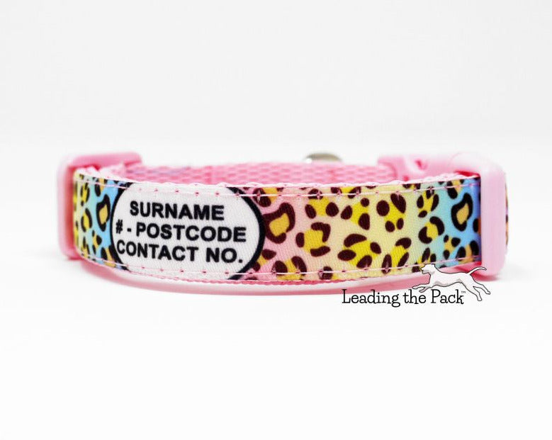 Personalised contact rainbow leopard 15mm dog collars & leads