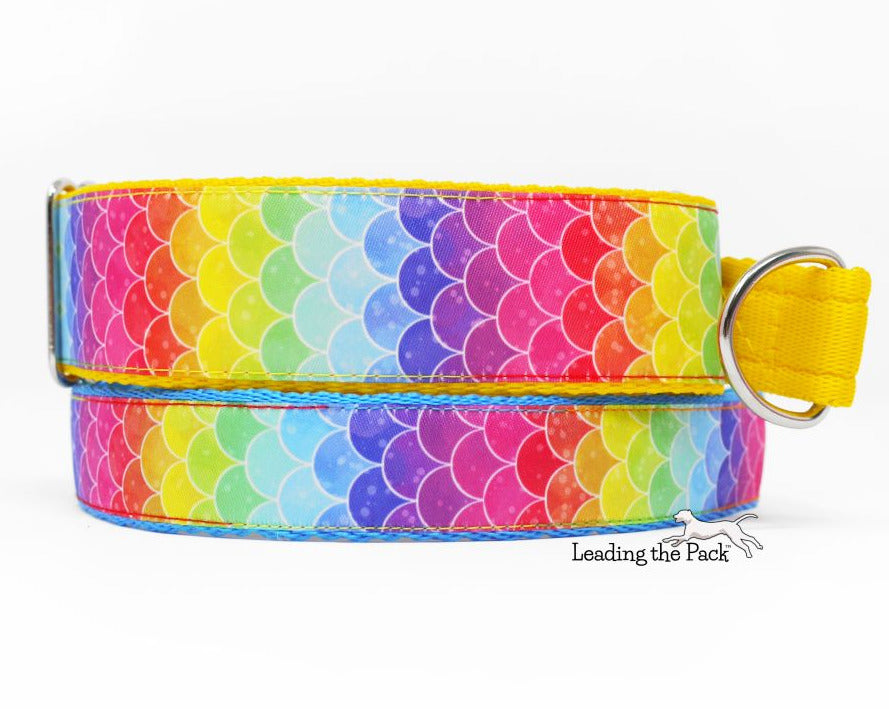 Rainbow scales 40mm dog collars & leads