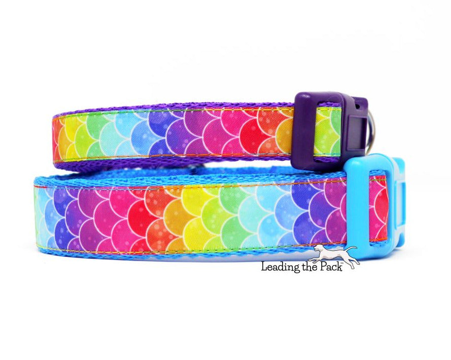 Rainbow scales 20/25mm dog collars & leads