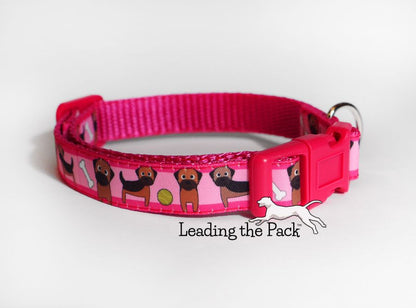 Border terrier 15mm dog collars & leads