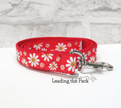 Daisies 20/25mm dog collars & leads