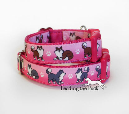 Huskies 20/25mm dog collars & leads