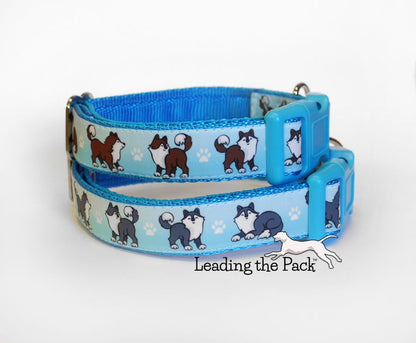 Huskies 20/25mm dog collars & leads