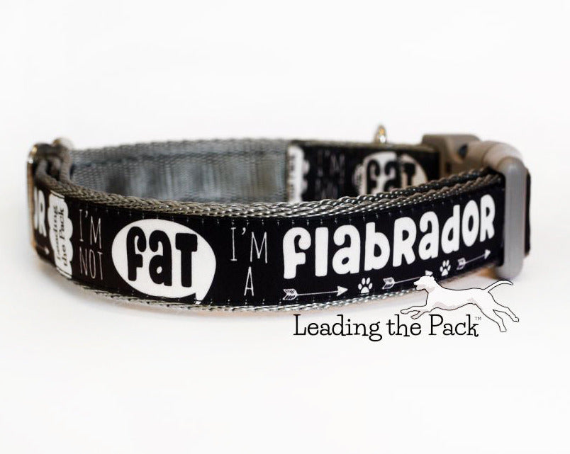 Flabrador 20/25mm dog collars & leads