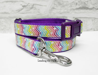 Rainbow chevrons 20/25mm dog collars & leads