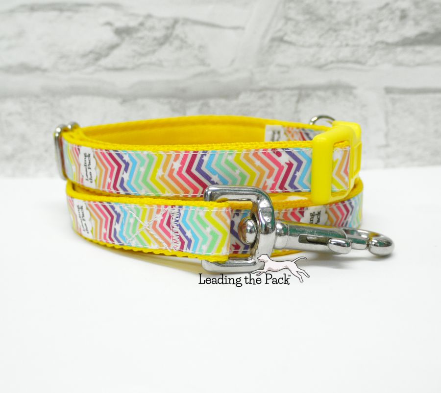 Rainbow chevrons 20/25mm dog collars & leads