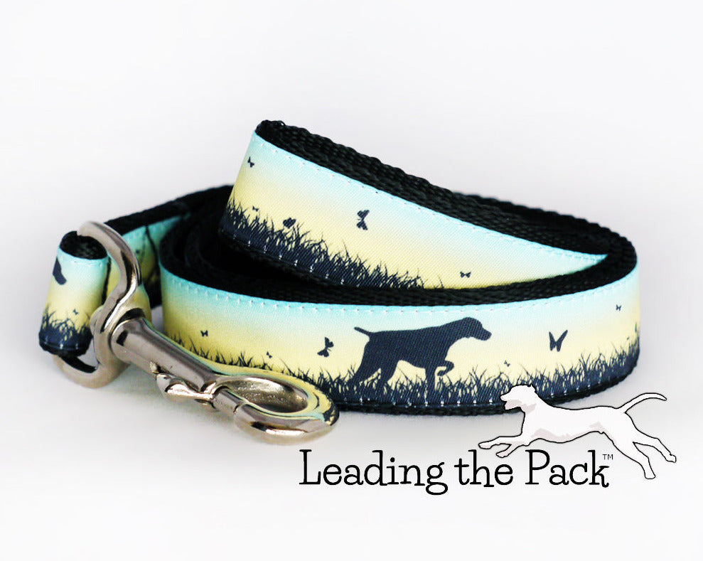 Sunrise pointers 20/25mm dog collars & leads